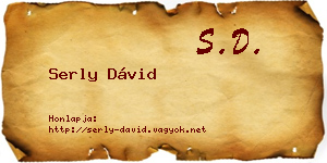 Serly Dávid névjegykártya