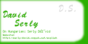 david serly business card